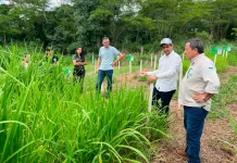Programa estadual fortalece pecuária leiteira e aumenta produtividade na agricultura familiar em Rondônia