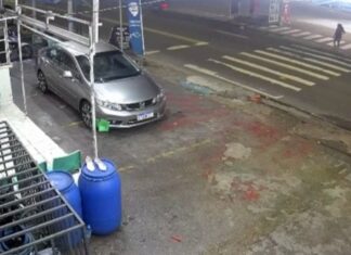 VÍDEO: Motorista atropela idosa na faixa de pedestre e foge