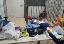 Dupla é presa após furtar padaria e salão de beleza na Zona Leste de Porto Velho