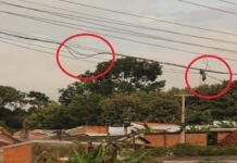 Lei que regulamenta excesso de fios deve ser cumprida