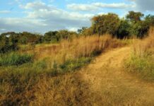 Justiça Federal reconhece como pública fazenda de 952 hectares avaliada em R$ 22 milhões em Buritis