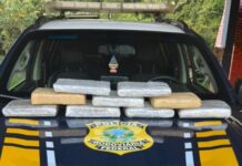 Passageiro de táxi é flagrado com 9,5 kg de maconha na BR-364