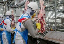 Plataforma do Governo de Rondônia tem 2.377 vagas abertas esta semana