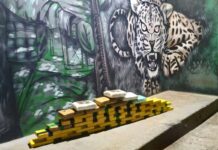 Operação conjuta apreende 50 kg de drogas na zona rural de Nova Mamoré