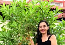 ‘Plantei um sonho’: rondoniense cria jardim para beija-flores em terreno baldio em Ji-Paraná, RO