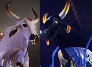 59º Festival de Parintins será nos dias 26, 27 e 28 de junho