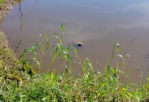 Homem é encontrado morto no Rio Tiguí em Rondônia