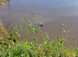 Homem é encontrado morto no Rio Tiguí em Rondônia
