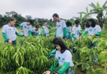 Formação técnica fortalece agricultura familiar e prepara jovens para atuar nas propriedades rurais em Rondônia