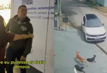 “Se eu pudesse, eu fazia de novo”, diz homem que matou cachorros atropelados em Manaus; veja vídeo