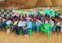Tecnologia, manejo eficiente e assistência técnica elevam o padrão da cafeicultura em Rondônia