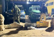Operação conjunta entre BPFRON e PRF apreende quase 200 kg de drogas e prende sete pessoas na BR-364