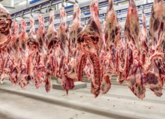 Governo Lula se diz surpreso com veto da UE à carne brasileira