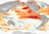 El Niño intensifica riscos a trigo, café, soja e frutas nos próximos meses