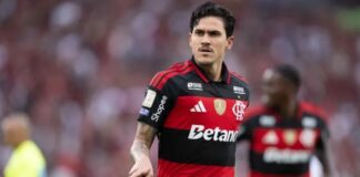 Pedro garante classificação do Flamengo na Libertadores