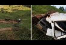 Caminhão carregado de madeira cai em ribanceira em Rondônia