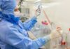 Estudo usa células-tronco contra complicações do transplante de medula