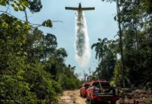 Rondônia conquista redução histórica do desmatamento