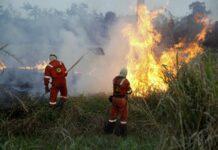 Deputados aprovam R$ 29,57 milhões para combate a incêndios em Rondônia