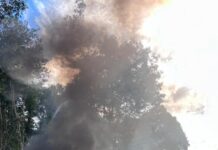 PF e ICMBio combatem garimpo ilegal em Rondônia