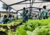 Educação profissional apresenta investimentos em cursos técnicos do agro durante 13ª Rondônia Rural Show Internacional