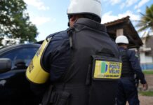 Furtos, roubos e maus-tratos reduzem após atuação da Atividade Delegada