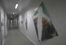 Arte e inclusão marcam exposição de pacientes com TEA no Centro de Reabilitação de Rondônia