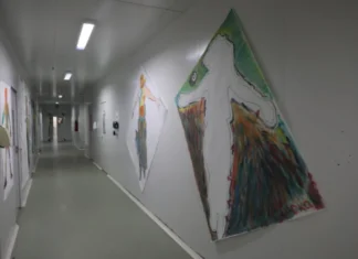 Arte e inclusão marcam exposição de pacientes com TEA no Centro de Reabilitação de Rondônia