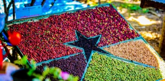 Exportações de Rondônia atingem marca histórica de US$ 3 bilhões e conquistam mais de 100 destinos