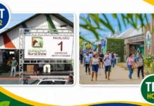 EVOLUÇÃO: o crescimento que transformou a RRSI de feira modesta à referência do agronegócio na Região Norte