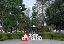 Nova Mutum Paraná recebe grande ação de podas e arborização urbana