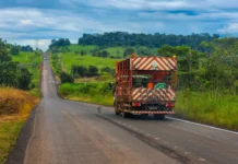 RO-135 recebe melhorias para ampliar segurança com obras de sinalização horizontal entre Alta Floresta e Vila Marcão