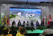 Cooperação internacional é fortalecida pelo governo de RO em reunião anual da Força-Tarefa dos Governadores pelo Clima