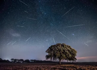 Eta Aquáridas: chuva de meteoros do Halley será visível nesta quarta