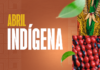 Abril Indígena: MPF articula fortalecimento do Catrapovos para ampliar mercado de alimentos indígenas