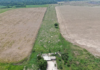 MPF processa produtores de soja por contaminação de indígenas e degradação ambiental em Seringueiras (RO)