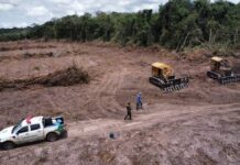 Justiça mantém cobrança de mais de R$ 7,5 milhões contra ex-senador Amorim por desmatamento em Rondônia