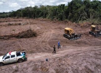 Justiça mantém cobrança de mais de R$ 7,5 milhões contra ex-senador Amorim por desmatamento em Rondônia