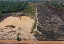 MPF processa empresa e gestores por garimpo ilegal e desmatamento de grande magnitude em Vilhena (RO)