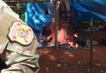 PF e forças parceiras realizam ação contra garimpo e exploração ilegal de madeira em terras indígenas de Rondônia