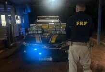 PRF em Rondônia apreende mais de 60 kg de entorpecentes no município de Guajará-Mirim/RO