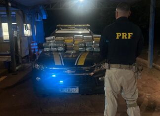 PRF em Rondônia apreende mais de 60 kg de entorpecentes no município de Guajará-Mirim/RO