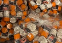 Polícia encontra laboratório clandestino de canetas emagrecedoras