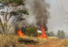 Queimadas da deixaram cerca de 6 mil clientes sem energia em Rondônia