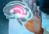 Vitamina B3 pode ajudar no tratamento de câncer cerebral agressivo