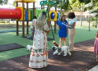 Fogos durante a Copa exigem cuidados especiais para proteger cães e gatos