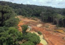 STF determina que União elabore plano de retirada do garimpo ilegal de território Cinta Larga