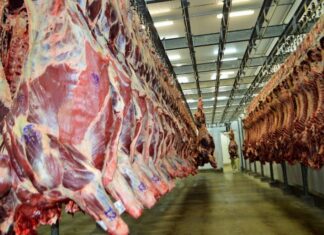 Carne bovina supera soja e lidera exportações de Rondônia em maio