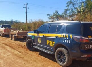 PRF apreende quase 2,5 toneladas de cassiterita em Ariquemes