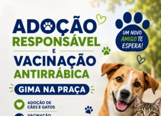 De 18 a 20 de junho, durante o GIMA na Praça, a Prefeitura de Ariquemes por meio do Departamento de Bem-Estar Animal, realizará uma ação especial de adoção responsável de cães e gatos e vacinação antirrábica gratuita.